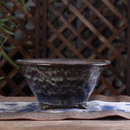 10" Yixing Zisha Clay Bonsai Pot – Floral Cloud Feet – source gallery photo 1; verify variant before publishing