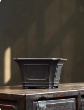 Alternate front view of dark square bonsai pot with banded base