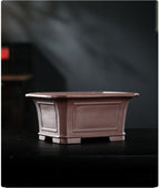 Deep brown rectangular Zisha bonsai pot, side view