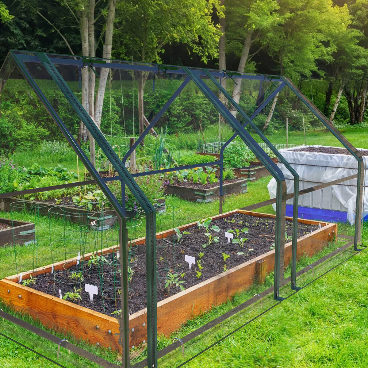 Clear-cover mini greenhouse on a raised garden bed