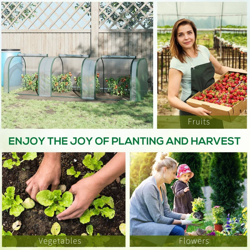 Supplier examples of plants grown in a tunnel greenhouse