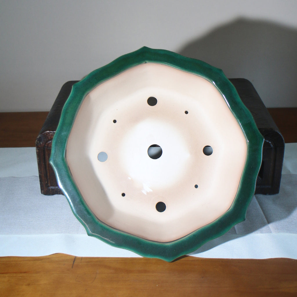 Underside of the green pot showing pale clay and multiple drainage openings