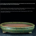 Green drip-glazed oval bonsai pot with a brown interior and short decorative feet, with dimensions above