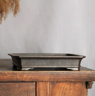 Shallow dark rectangular bonsai pot with flared rim and low feet