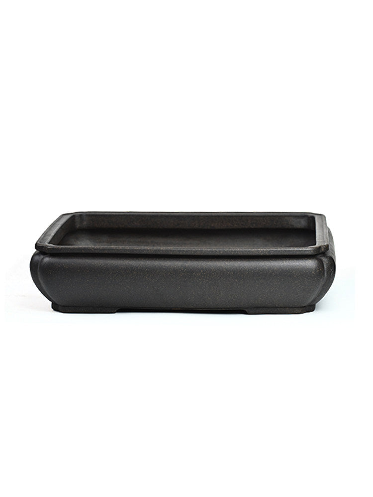 Isolated front view of the dark rounded-rectangle bonsai pot