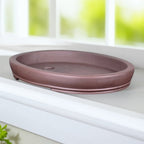 Brown oval bonsai pot with two visible interior openings on a windowsill