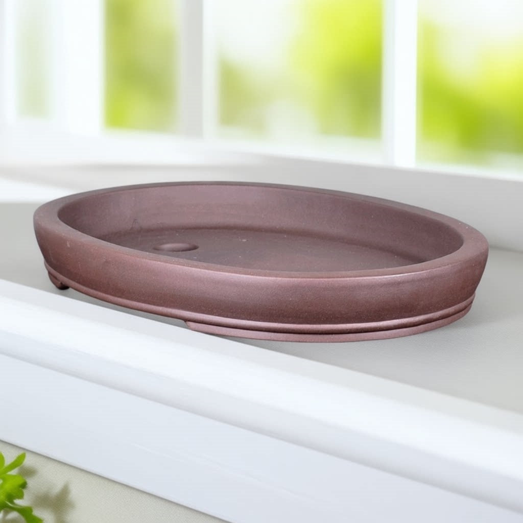 Brown oval bonsai pot with two visible interior openings on a windowsill