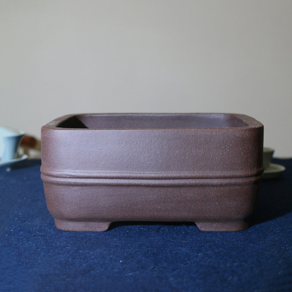 Purple-brown rounded rectangular bonsai pot with double band