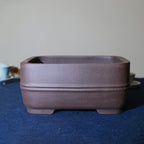 Purple-brown rounded rectangular bonsai pot with double band