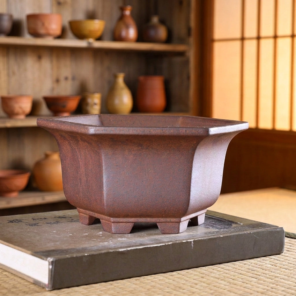 Brown hexagonal bonsai pot with flared rim and block feet on a book
