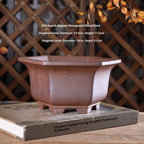 Brown hexagonal bonsai pot with diameter, height and depth labels