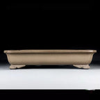 Shallow taupe rectangular bonsai pot with flared rim and sculpted feet