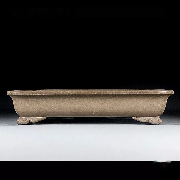 Shallow taupe rectangular bonsai pot with flared rim and sculpted feet