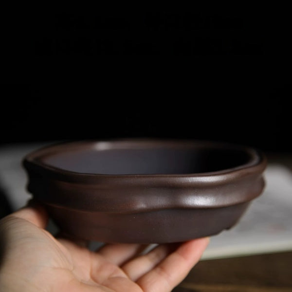Hand holding shallow dark brown irregular round bonsai pot