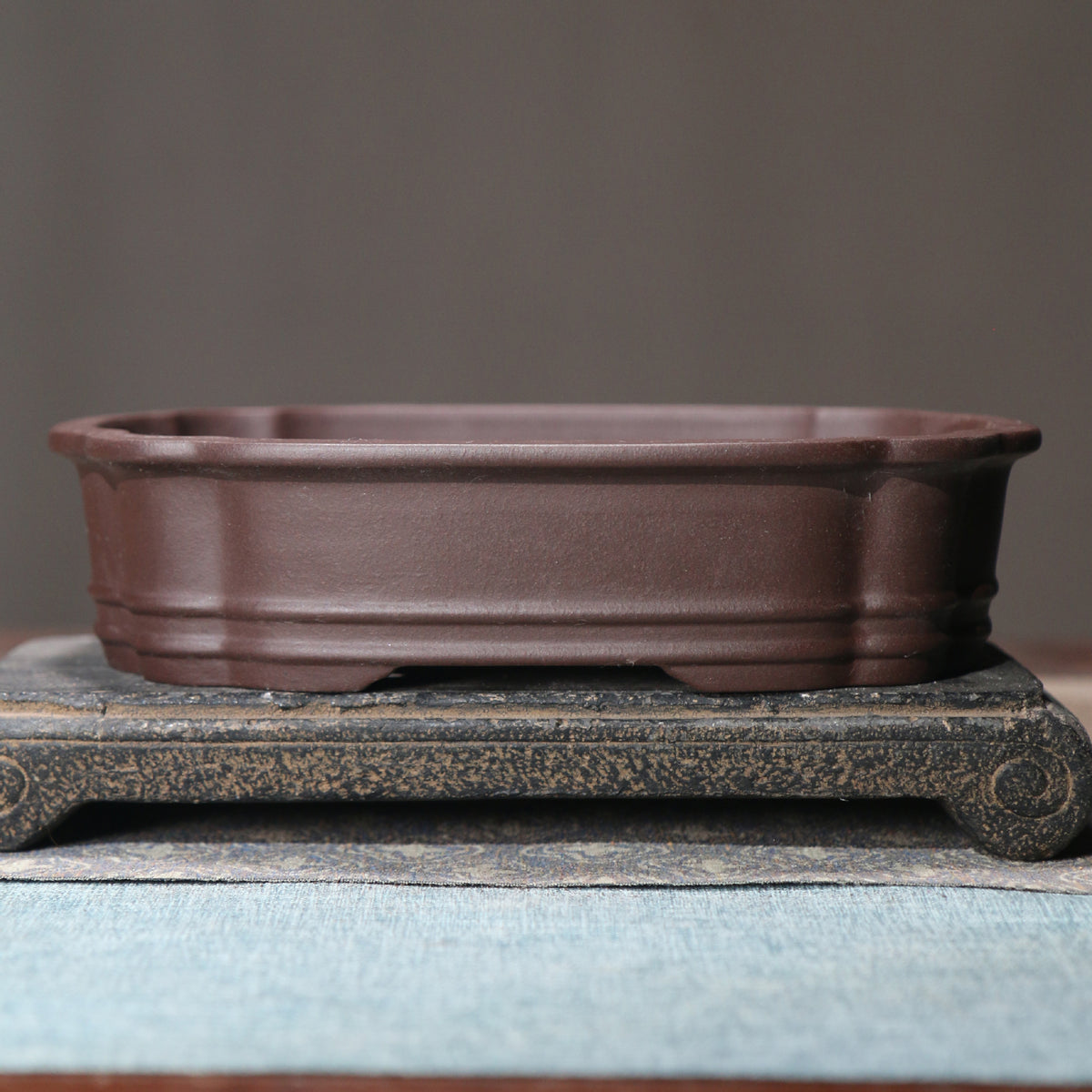 Rectangular purple clay bonsai pot display view