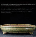 Pale green speckled oval bonsai pot with a rounded rim and decorative feet, with dimensions above