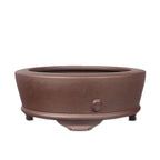 Brown round purple-clay bonsai pot on white background