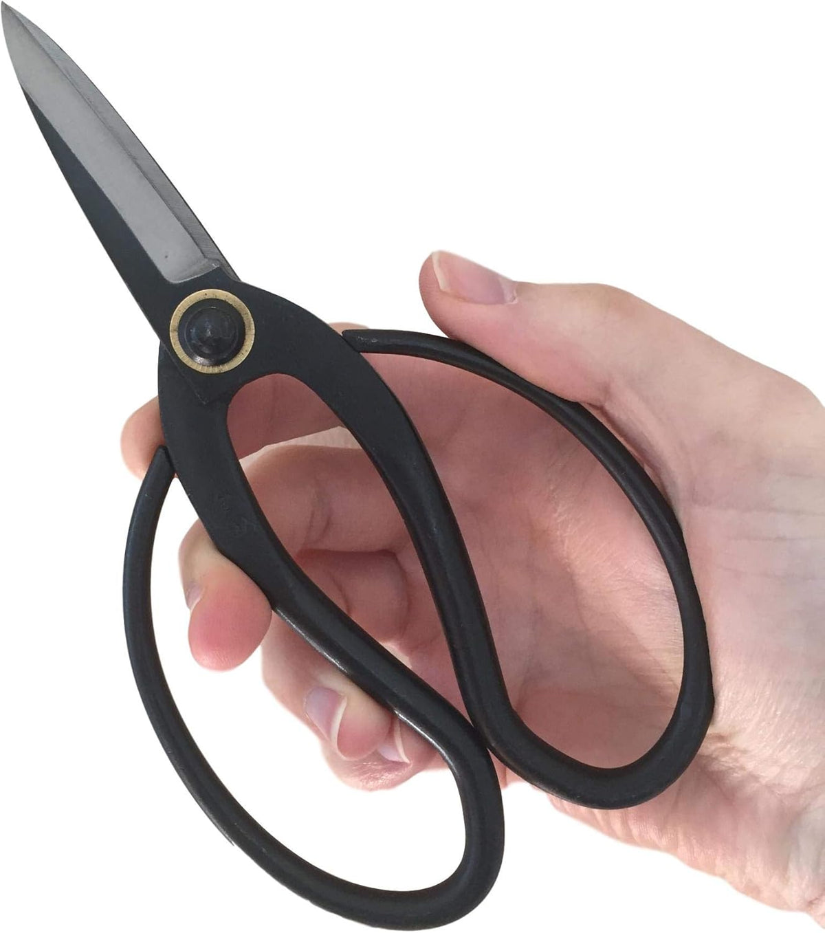 Hand holding the black loop-handled bonsai scissors