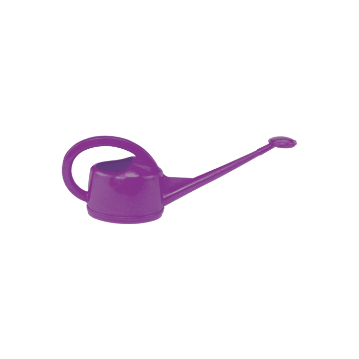 Purple watering can with a long narrow spout, small rose and large curved handle