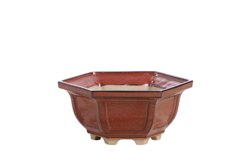 Rust-red hexagonal bonsai pot with recessed panels, flared rim and short feet