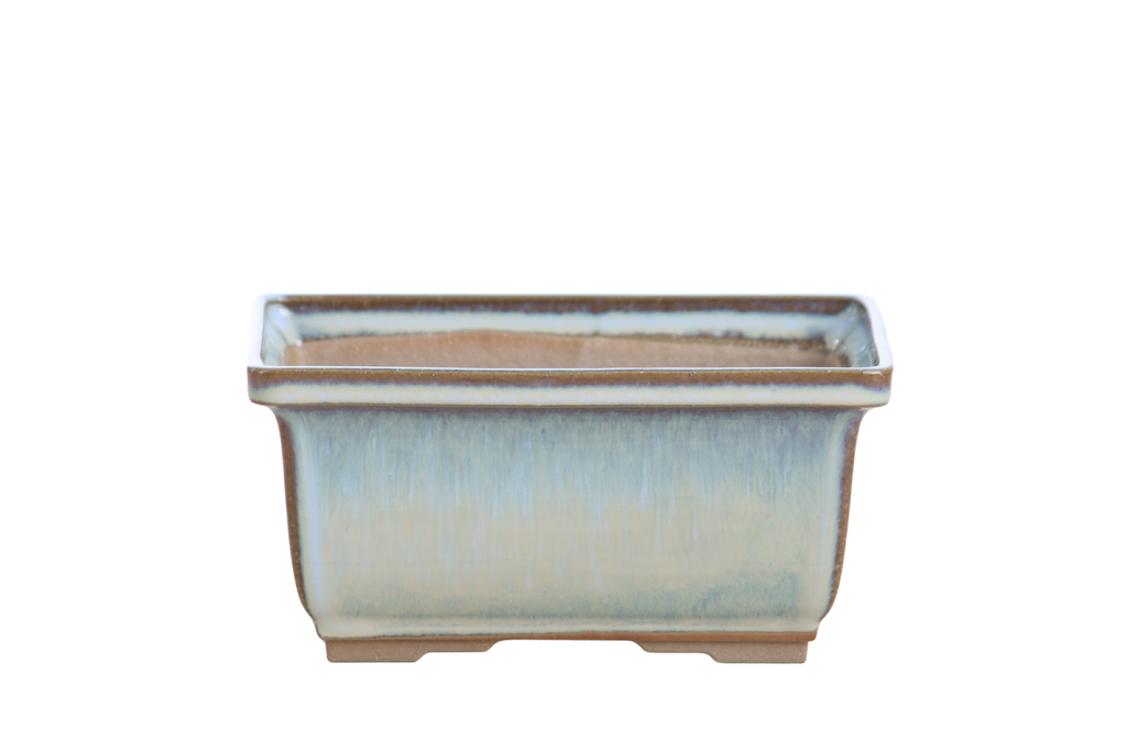 Pale blue rectangular bonsai pot with straight walls, darker rim edges and low feet