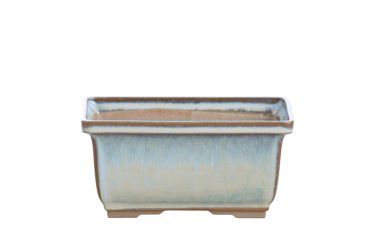 Pale blue rectangular bonsai pot with straight walls, darker rim edges and low feet