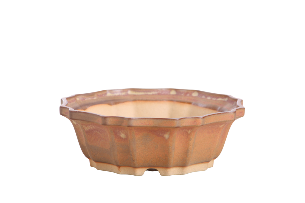 Warm tan-brown flower-shaped bonsai pot with fluted walls, a scalloped rim and pale glaze flecks