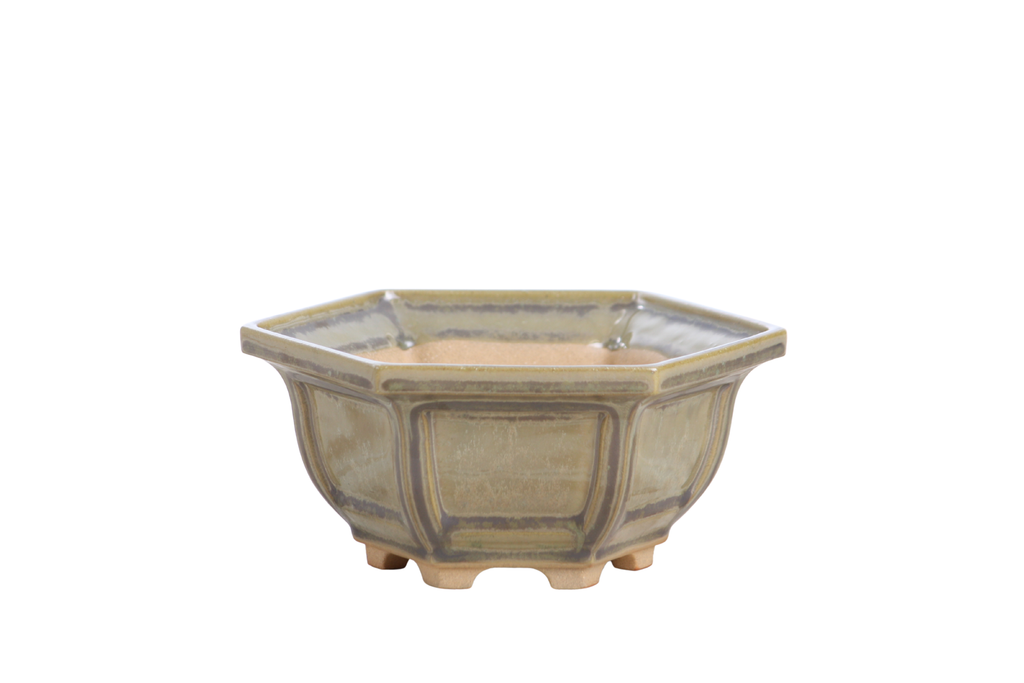 Pale olive-gray hexagonal bonsai pot with recessed side panels, a flared rim and short feet