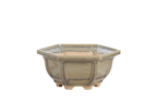 Pale olive-gray hexagonal bonsai pot with recessed side panels, a flared rim and short feet