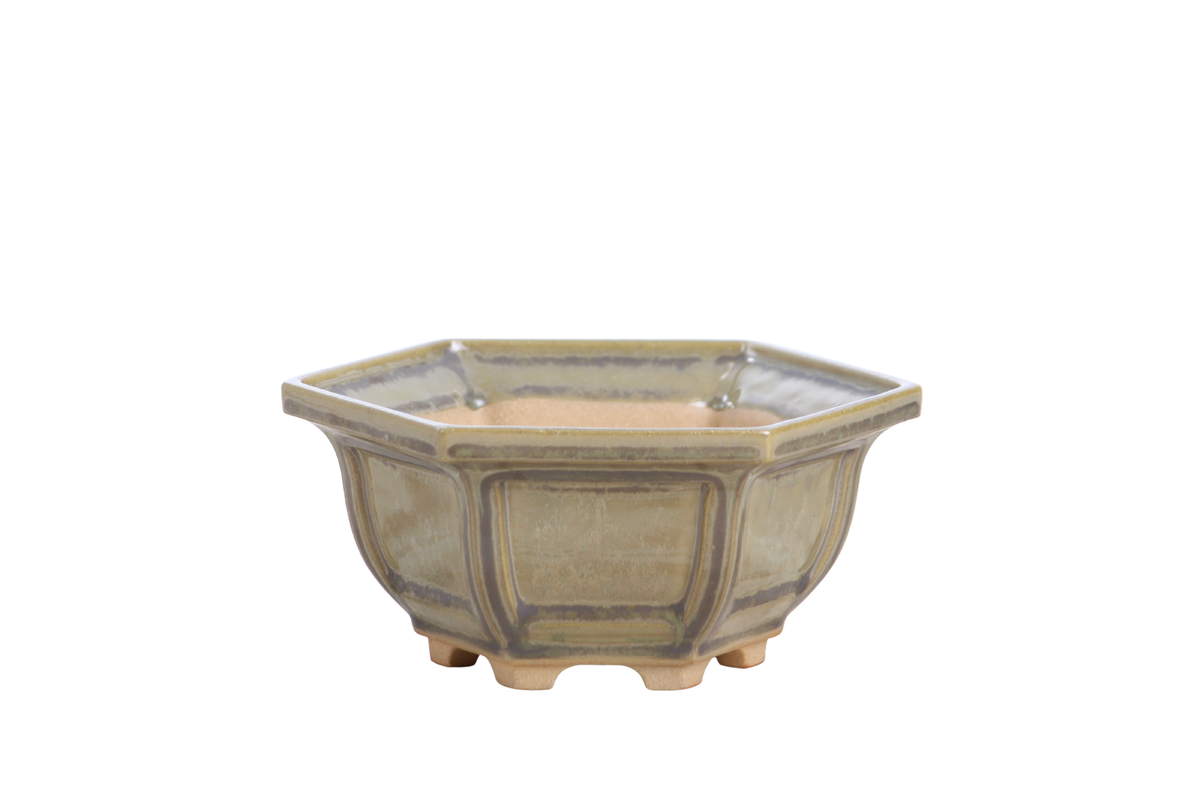 Pale olive-gray hexagonal bonsai pot with recessed side panels, a flared rim and short feet