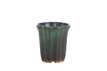 Dark green tall fluted bonsai pot with a scalloped rim and darker vertical ribs