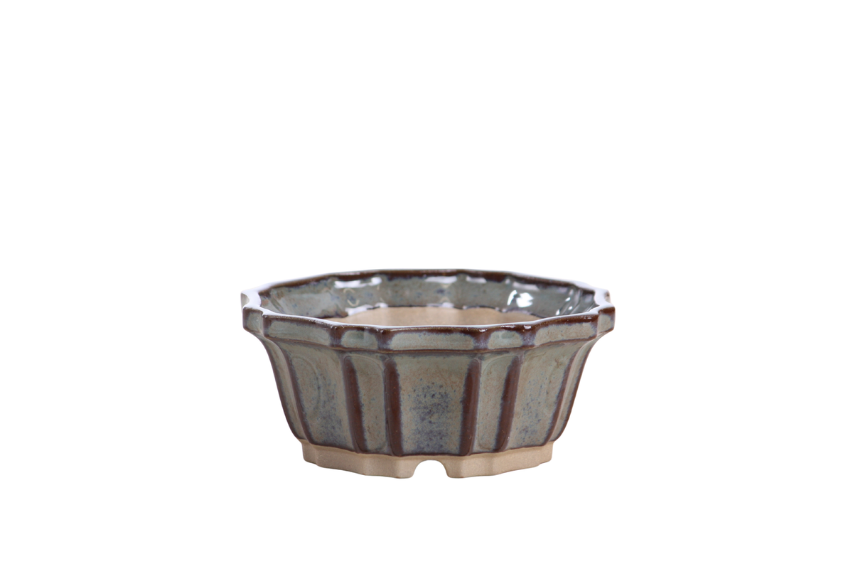 Gray-blue flower-shaped bonsai pot with dark plum vertical accents and a scalloped rim