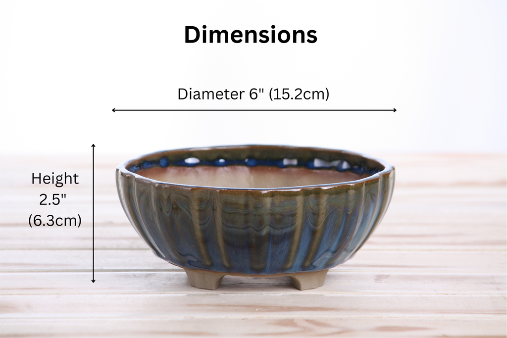 Dimension graphic of the blue-green round fluted bonsai pot labeled 6-inch diameter and 2.5-inch height