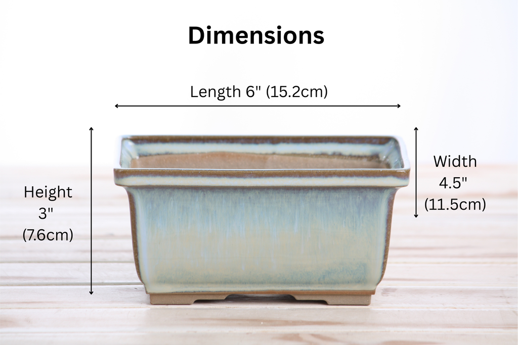 Dimension graphic of the pale blue rectangular bonsai pot labeled 6-inch length, 4.5-inch width and 3-inch height