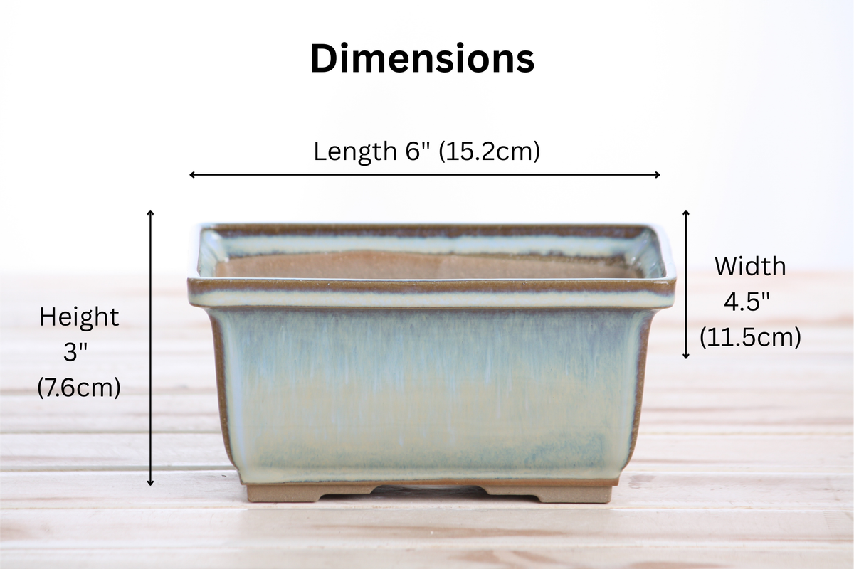 Dimension graphic of the pale blue rectangular bonsai pot labeled 6-inch length, 4.5-inch width and 3-inch height