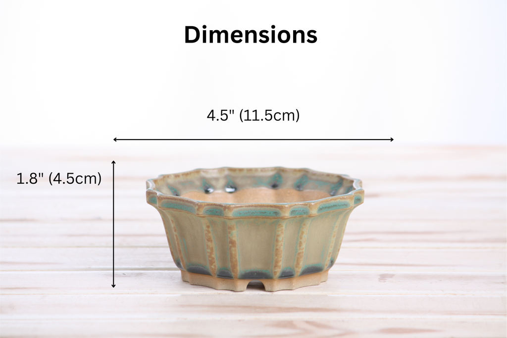Dimension graphic of the muted moss-green flower-shaped bonsai pot labeled 4.5-inch width and 1.8-inch height