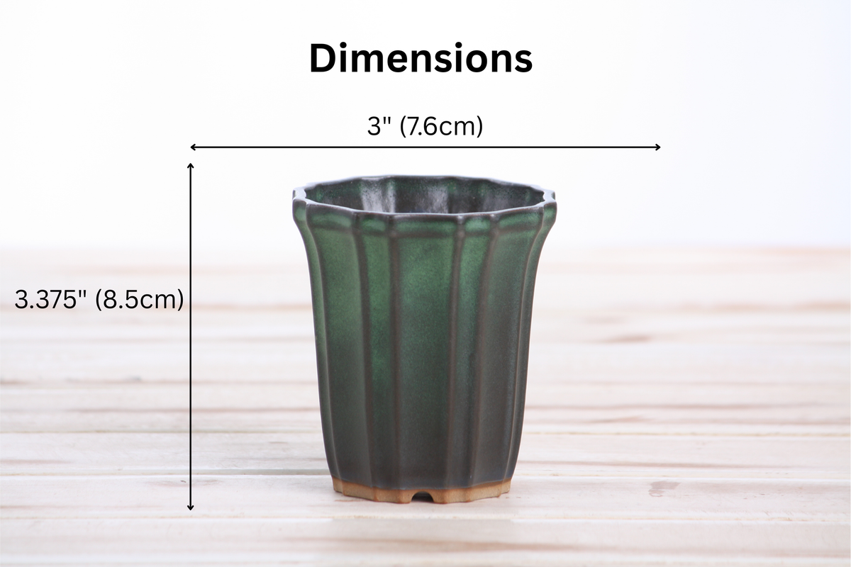 Dimension graphic of the dark green tall fluted bonsai pot labeled 3-inch width and 3.375-inch height