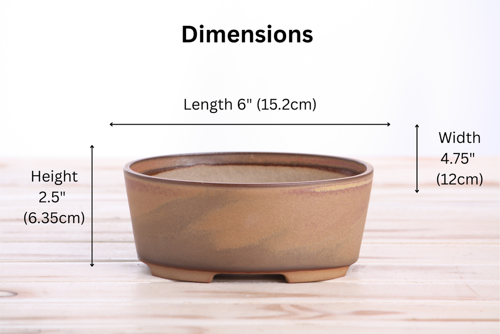 Dimension graphic of the tan-brown oval bonsai pot labeled 6-inch length, 4.75-inch width and 2.5-inch height