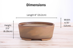Dimension graphic of the tan-brown oval bonsai pot labeled 6-inch length, 4.75-inch width and 2.5-inch height