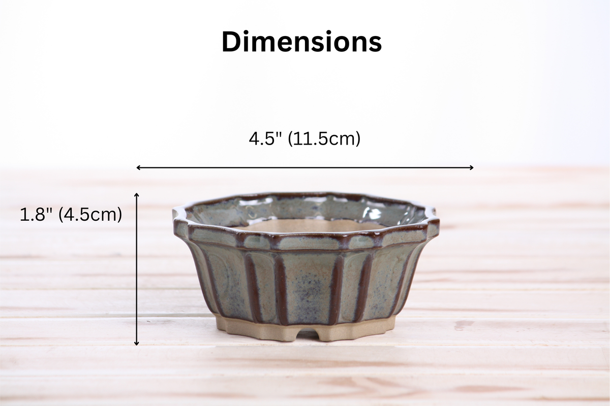 Dimension graphic of the gray-blue flower-shaped bonsai pot labeled 4.5-inch width and 1.8-inch height