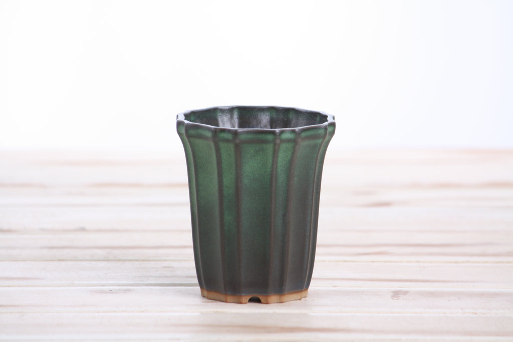Front view of the dark green tall fluted bonsai pot on a pale wooden surface