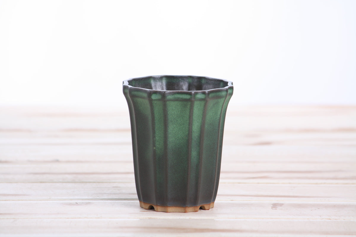 Angled view of the dark green tall fluted bonsai pot showing its rim and side profile