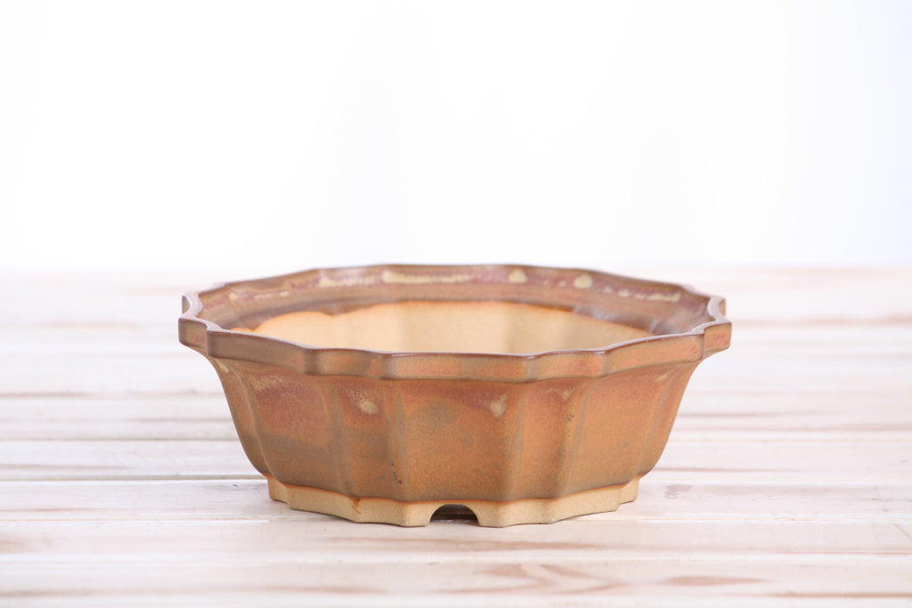 Front view of the warm tan-brown flower-shaped bonsai pot on a pale wooden surface
