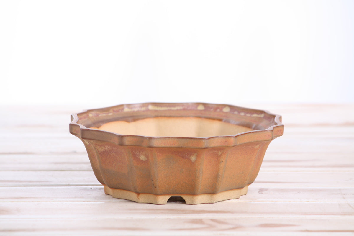 Front view of the warm tan-brown flower-shaped bonsai pot on a pale wooden surface