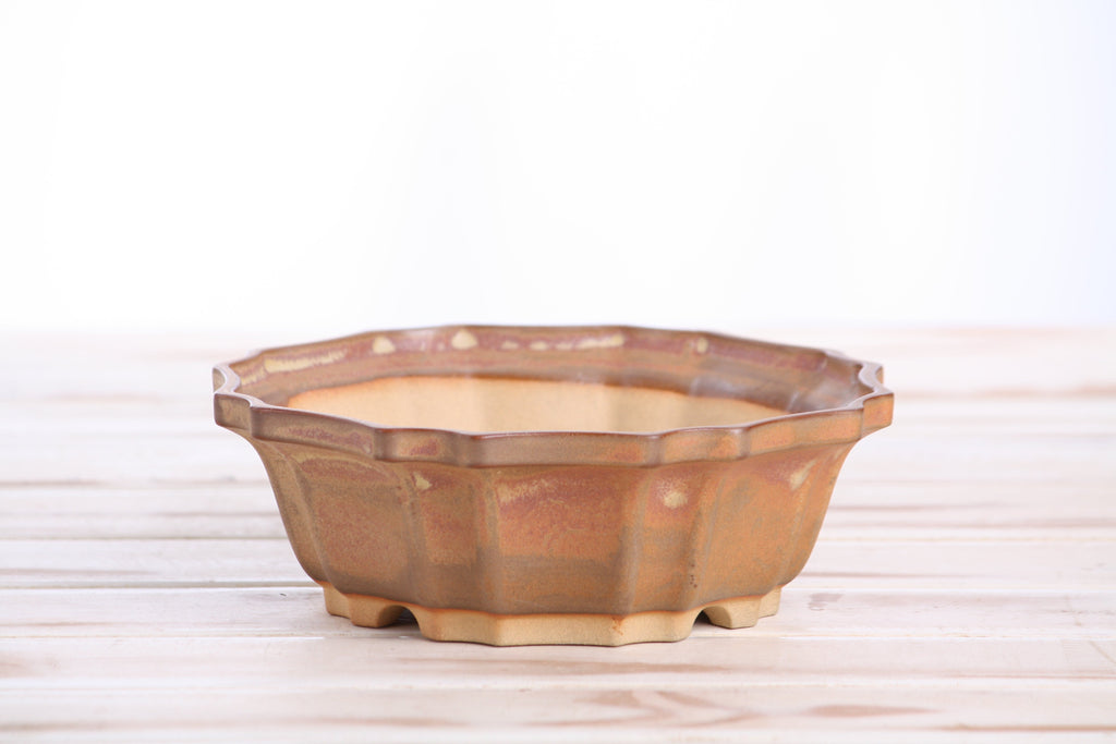 Angled view of the warm tan-brown flower-shaped bonsai pot showing its rim and side profile