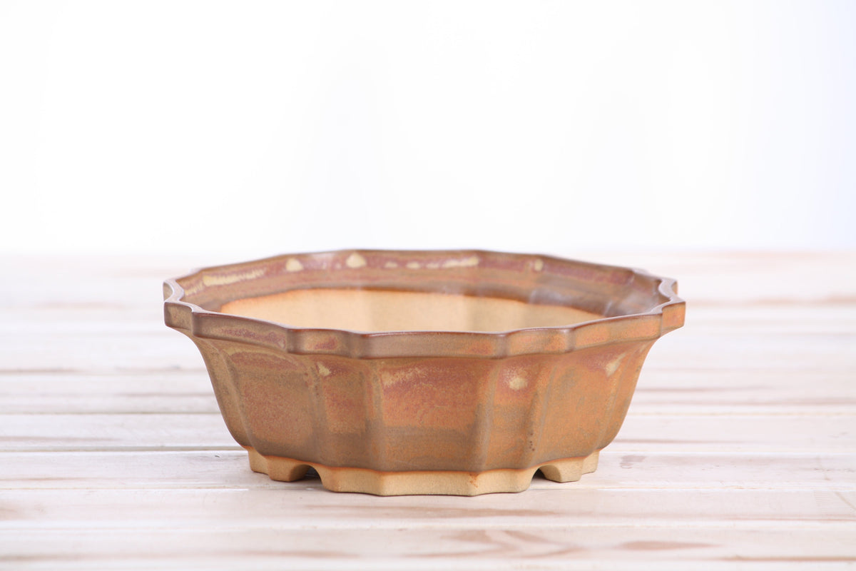 Angled view of the warm tan-brown flower-shaped bonsai pot showing its rim and side profile