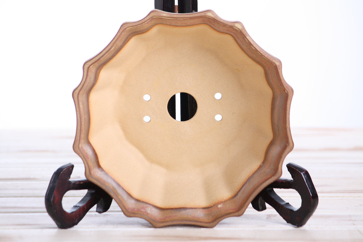 Interior view of the warm tan-brown flower-shaped bonsai pot showing a central drainage hole and four smaller openings