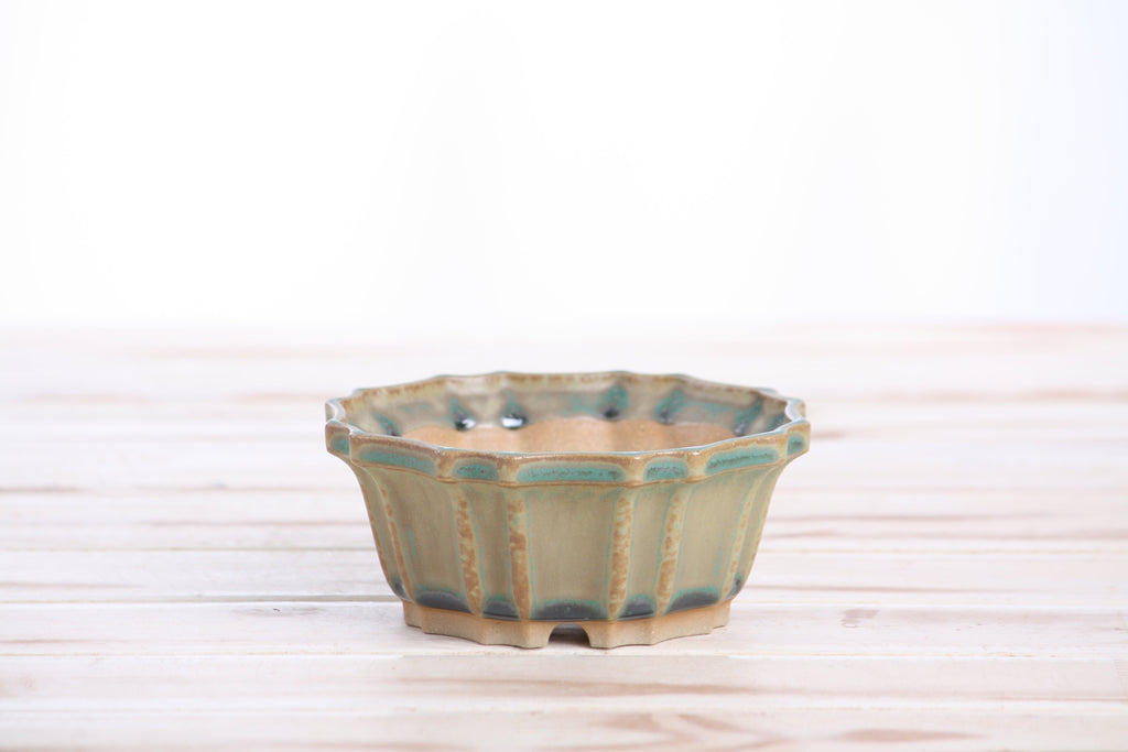 Front view of the muted moss-green flower-shaped bonsai pot on a pale wooden surface