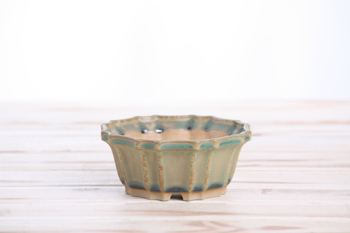 Front view of the muted moss-green flower-shaped bonsai pot on a pale wooden surface