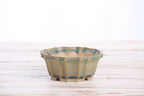 Angled view of the muted moss-green flower-shaped bonsai pot showing its rim and side profile